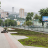  — newsvl.ru