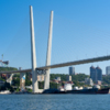 Золотой мост — newsvl.ru