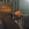 Фото: «Содержание городских территорий» — newsvl.ru