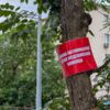  — newsvl.ru