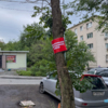  — newsvl.ru
