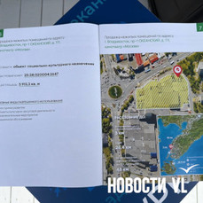 Инвесторам на ВЭФ предлагают купить кинотеатр &laquo;Москва&raquo;, бывший городок &laquo;Саман&raquo; и большой кусок леса на Фадеева
