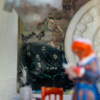 В глубине крошечной комнаты – фотографии сотрудников торговой компании — newsvl.ru