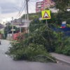 Проспект Красоты — newsvl.ru
