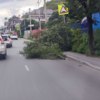 Проспект Красоты — newsvl.ru