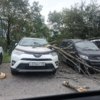 Расула Гамзатова, 1. Фото @dpskontrol_125rus — newsvl.ru