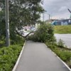 Калинина — newsvl.ru