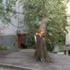 Кирова, 24а — newsvl.ru