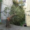 Кирова, 24а — newsvl.ru