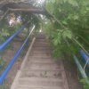 Подход к 21-й школе со стороны Часовитина. Фото @safonkavdk — newsvl.ru