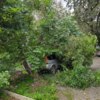 Талалихина, 3. Фото @safonkavdk — newsvl.ru