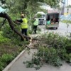 Фото администрации Владивостока — newsvl.ru