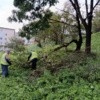 Фото администрации Владивостока — newsvl.ru