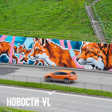 Во Владивостоке продлили приём заявок на конкурс муралов