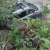 Наши читатели встретили птичку 31 августа недалеко от здания почты на Пушкинской — newsvl.ru