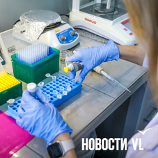 Учёные из Владивостока нашли в винограде вещество, способное остановить болезнь Паркинсона