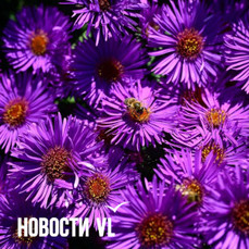 Сегодня во Владивостоке временами сильный ветер и до +21 °C