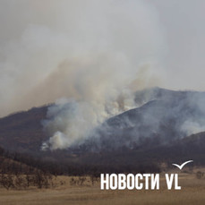 В Приморье выгорело 50 гектаров тайги из-за удара молнии – тушение продолжается