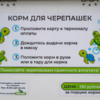 Каждый шаг прописан, всё ясно и понятно — newsvl.ru