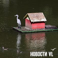 Сегодня во Владивостоке без осадков и до +22 °C