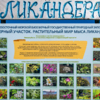  — newsvl.ru