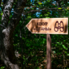  — newsvl.ru