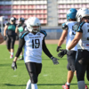  — newsvl.ru