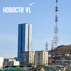 Фигуранта дела о мошенничестве с землёй на Орлиной сопке Владивостока приговорили к 5 годам колонии