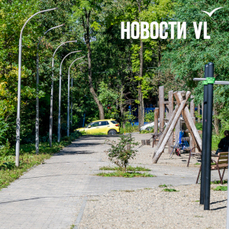 Часть сквера на Уткинской всё ещё под угрозой застройки – здесь появились контейнер и биотуалет