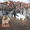 Зимой тут открывали новогодний городок, сияющий по ночам — newsvl.ru