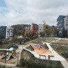 Он хорош и осенью — newsvl.ru