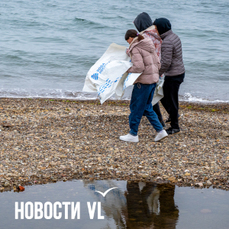 Жителей Владивостока приглашают наводить порядок на берегу по пятницам