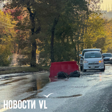 Несчастливая Борисенко: двухполосный участок улицы заливает водой, в яму уже провалился автобус (ФОТО; ВИДЕО)