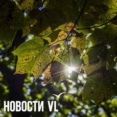 На выходных во Владивостоке станет прохладнее