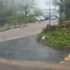 Диомид — newsvl.ru