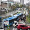 Зеленый остров — newsvl.ru