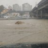 Баляева — newsvl.ru