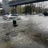 На Заре ливнёвку обозначили урной — newsvl.ru