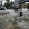 На Заре ливнёвку обозначили урной — newsvl.ru