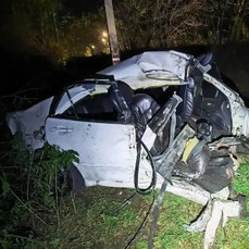 В Артёме машина врезалась в дерево, от удара её разорвало на две части, водитель погиб