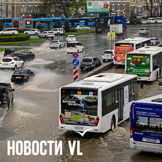 Подростки избили водителя автобуса и выстрелили в него из травматического пистолета на Луговой