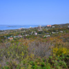 Форт № 7, гора Торопова — newsvl.ru