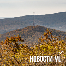 Сегодня во Владивостоке до +16 °С