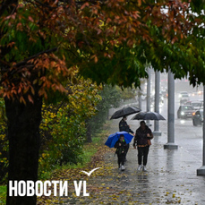 Во Владивостоке сегодня дождь, вечером сильный