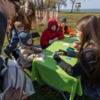 Можно сыграть в приморскую настольную игру — newsvl.ru