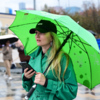  — newsvl.ru