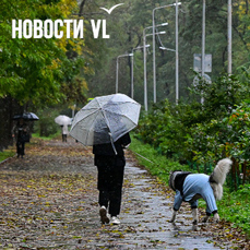 Дождливая погода вернётся во Владивосток уже в среду после недолгого прояснения