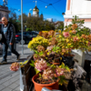  — newsvl.ru