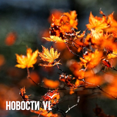 Сегодня во Владивостоке до +9 °С