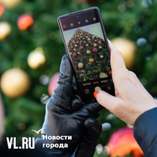 Установку искусственной ели на центральной площади Владивостока со всеми игрушками оценили в 1,2 млн рублей